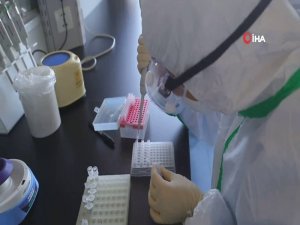 Korona Virüs Aşısı İçin İlk Test Yapıldı