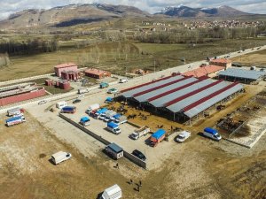 Kelkit Hayvan Pazarı Kapatıldı