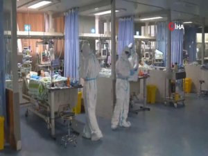 Abd’de Koronadan Hayatını Kaybedenlerin Sayısı 155’e Yükseldi