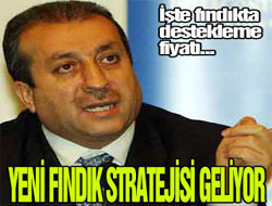 Fındıkta yeni strateji belirlendi