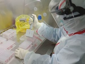 Londra’da 18 Yaşındaki Bir Genç Koronavirüs Sebebiyle Hayatını Kaybetti