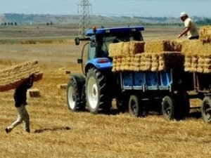 Tarım-gfe Aylık Yüzde 1,10 Yükseldi