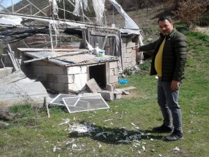 Gümüşhane’de Ayılar Bir Gecede 25 Tavuğu Yedi