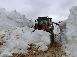 Gümüşhane’de Mart Ayında Karla Mücadele Devam Ediyor