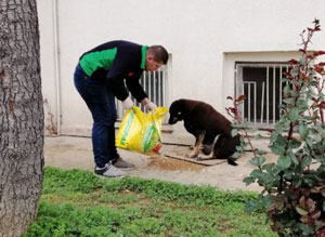 Rize'de Sokak Hayvanları İçin Yem Bırakıldı