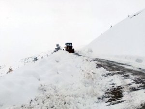 Gümüşhane’de Karla Mücadele Çalışmaları Devam Ediyor