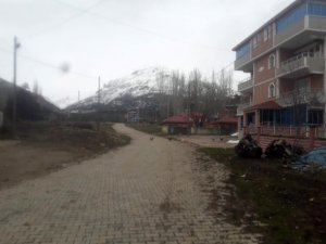 Gümüşhane’de 165 Kişinin Yaşadığı Köyde Karantina Devam Ediyor