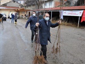 Gümüşhane’de 65 Yaş Üzeri Çiftçilerin Fidanları Evlerine Götürüldü