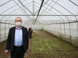 Artvin’de Yerel Ata Tohumları Korunuyor