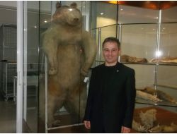 Doğu Karadeniz Bölgesi'nin En Büyük Yaban Hayatı Müzesi Ktü’de