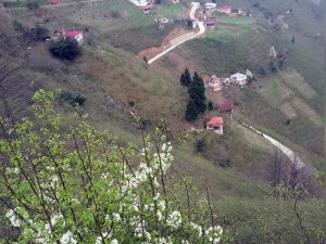 Giresun’da Bir Köy Daha Karantinaya Alındı