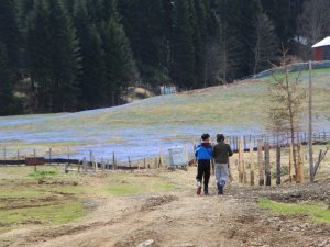 Mor Yayla’da ’Korona’ Sessizliği