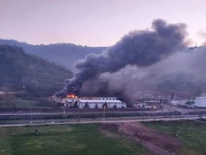Trabzon’da balık fabrikasının soğuk hava deposunda yangın