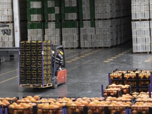 100 Ton Limon Mersin’den Yola Çıktı