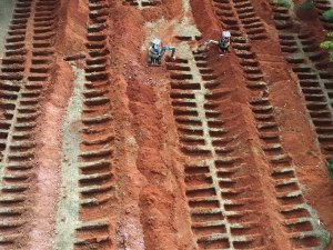 Covid-19 Salgınında Ölenler İçin Toplu Mezar Kazıldı