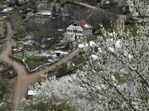 Gümüşhane’de Kar Yağışı Zirai Don Tehlikesini De Beraberinde Getirdi