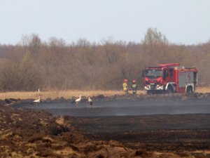 Polonya’daki Milli Park Yangını Kontrol Altına Alındı