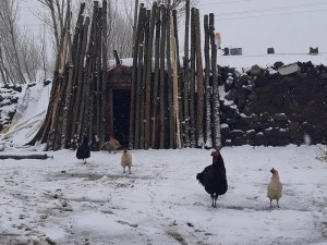 Van’da Nisan Ayında Kar Sürprizi