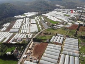 Üretimin Devam Ettiği Göçbeyli’deki Seralar Havadan Görüntülendi