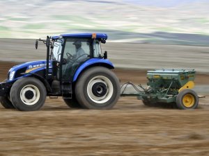 Gümüşhane Karabuğdayın Başkenti Olacak