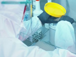 Los Angeles’ta Herkese Korona Testi Yapılacak