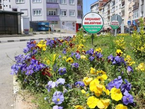 Akçaabat Belediyesi Korana Virüsüne Rağmen Çalışmalarını Hız Kesmeden Sürdürüyor