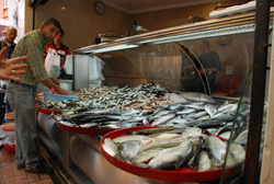 Karadeniz’de 10 Balık Türü Yok Oldu, 14 Balık Türü Yeniden Görüldü