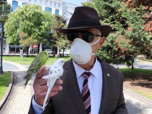 Her Yere Muhabbet Kuşları ’Süslü’ Ve ’Beyaz’ İle Gidiyor