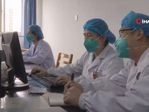 DSÖ: Virüs Yarasalardan Bulaştı