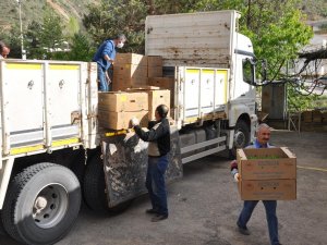 Gümüşhane’de Çiftçilere 283 Bin Adet Sebze Fidesi Dağıtıldı