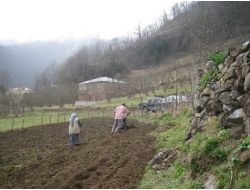 Ordulular Tarım, Orman Ve Balıkçılığa Eğilimli