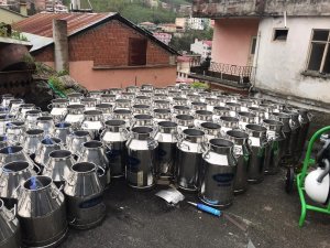 Giresun’da Manda Yetiştiriciliği Ve Manda Sütü Toplama Projesi Hızla Geliştiriliyor