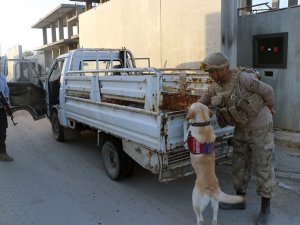 Telabyad Ve Resulayn’da Drone Ve Bomba Arama Köpeği Devri