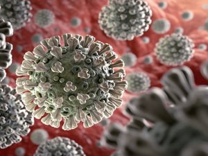 Rusya Ve Türkiye’den Korona Virüs Aşısı İçin Ortak Çalışma Kararı