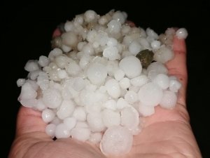 Misket Büyüklüğündeki Dolu, Bahçelere Zarar Verdi