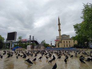 Trabzon’un Akçaabat İlçesinde Meydan Güvercinlere Kaldı