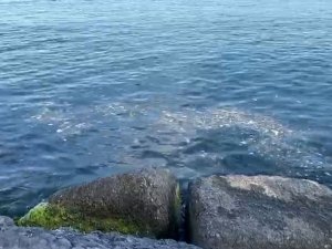 İstanbul Boğazı’nda Çöp Tehdidi