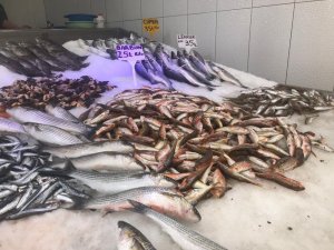 Korona Virüs Balık Fiyatlarını Düşürdü