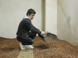 Korona Virüs Salgını Fındığa Yaradı, Fındık Fiyatı 26 Liraya Kadar Çıktı