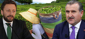 Rize Milletvekilleri Avcı ve Bak, Özel Sektör Çay Fabrikası Yetkililerine Sert Çıktı. Özel Sektör Çay Fiyatını Yükseltiyor