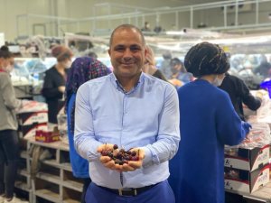 Avrupa, Türk Kirazını Bekliyor
