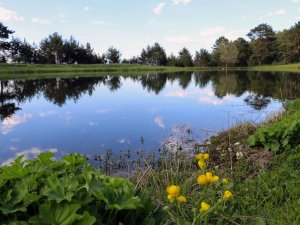 Bir Zamanlar Atların Serinletildiği Göl Turizme Kazandırılmayı Bekliyor