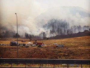 İsrail’de Binlerce Dönümlük Orman Kül Oldu