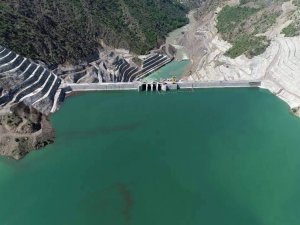 Siirt’ten Ülke Ekonomisine Yıllık 70 Milyon Dolarlık Katkı