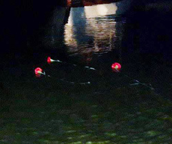 Gezmiş, İnan ve Arslan Rize’de Anıldı