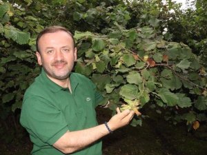 Giresun’a Fındık Müzesi İçin Yer Tespiti Yapıldı