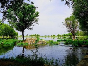10 Millet Bahçesi Daha Açılıyor
