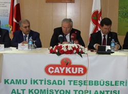 TBMM KİT Komisyon üyeleri Rize'de