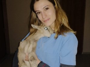 Anne Şefkatini Bayan Veterinerde Buldu