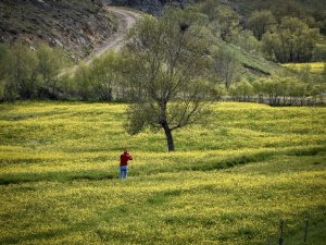 Bu Manzara Yılda Sadece 15 Gün Görülüyor